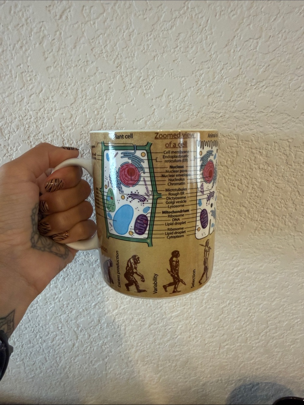 Cell Anatomy Ceramic Coffee Mug - Beige and White